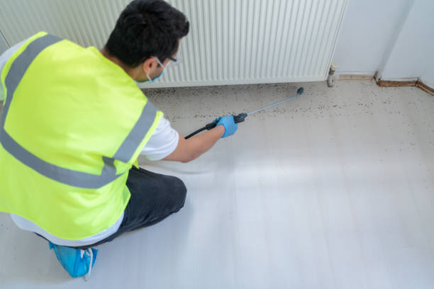 Best Fumigation Services  in Oblong, IL